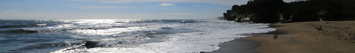 Contact お問い合わせ