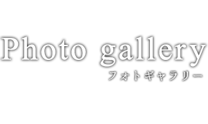 フォトギャラリー