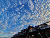 秋だなぁ20221024