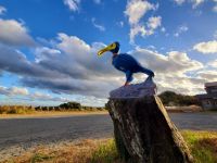 うーちゃん221114