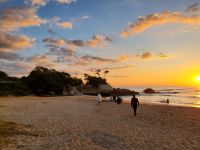 朝の家族20221106