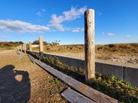 大煙突か!?20201201