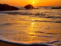 復興の島20210311