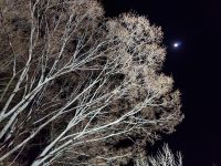 3月の夜空20210324