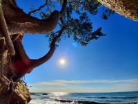 太田尻海岸20210728