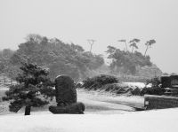 なごりゆき20220322