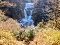 袋田凍る20220206