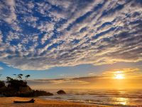 雨上がりの朝20221130