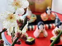 梅の季節20230212