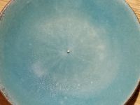 牡蠣の真珠20230512